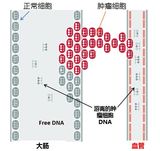 文章附圖