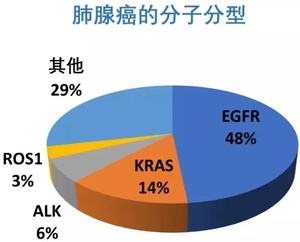 4.webp (1).jpg