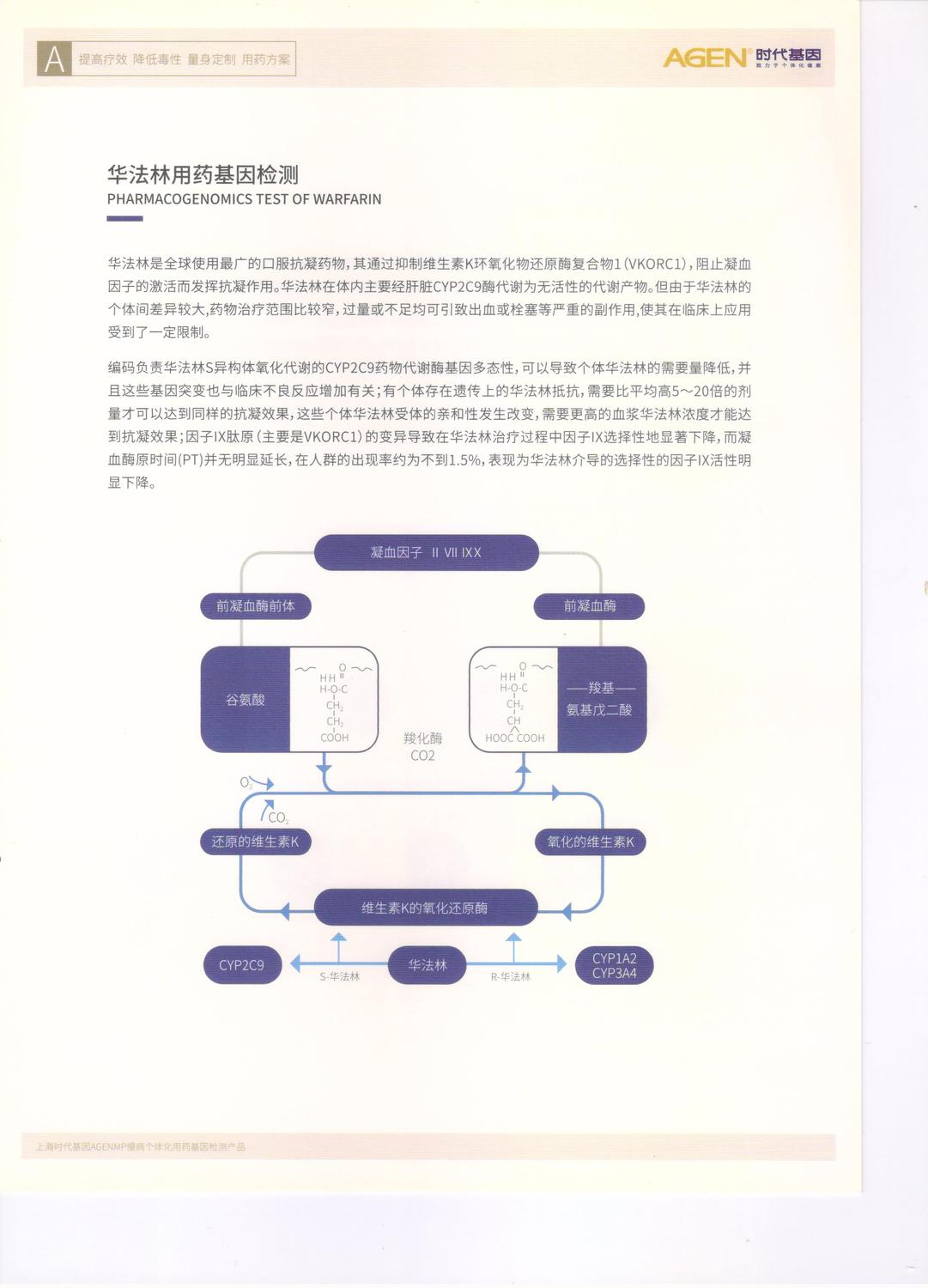 華法林1.jpg