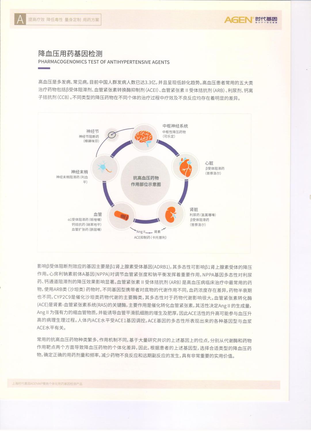 降血壓1.jpg