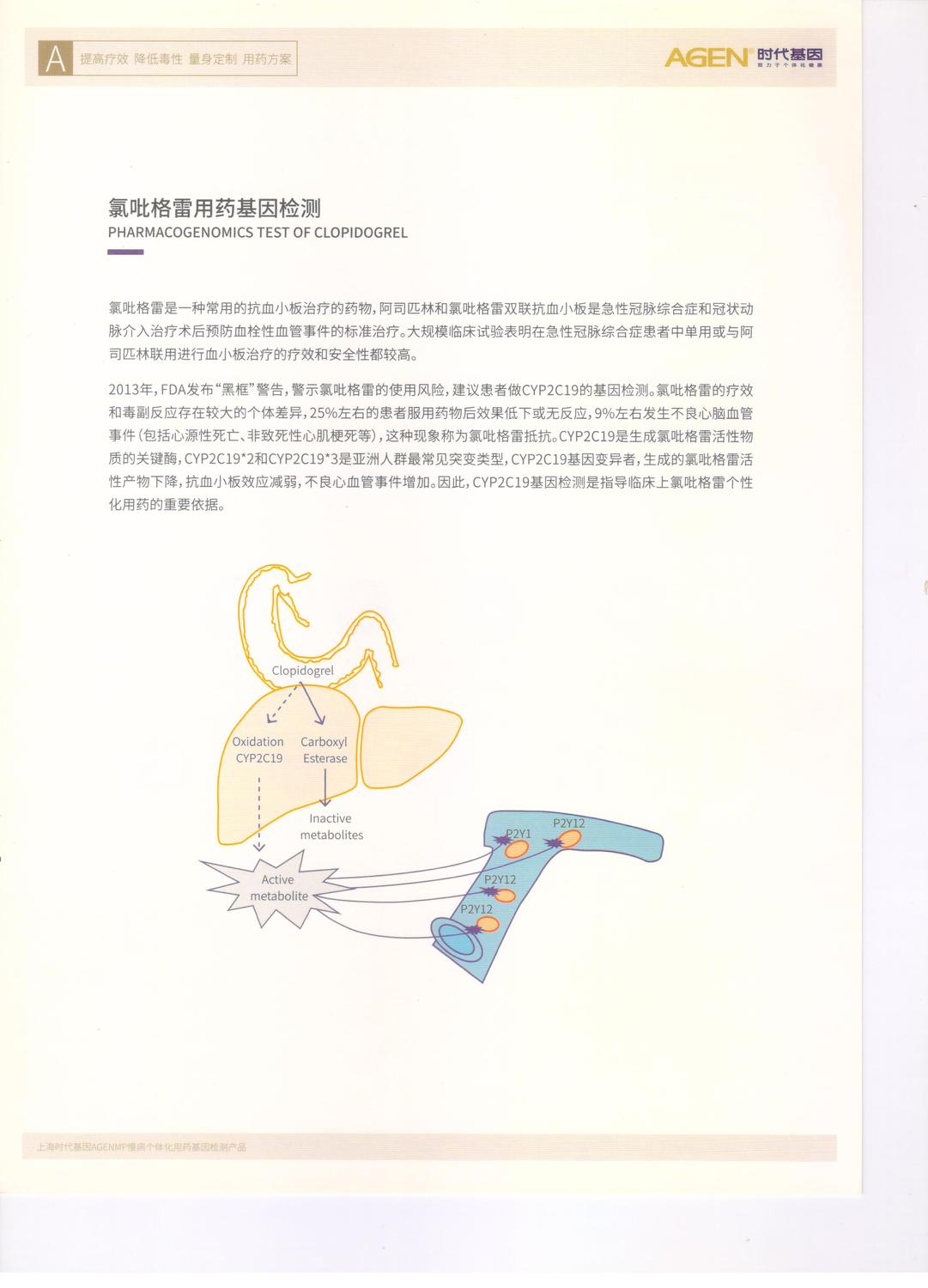 氯吡格雷1.jpg