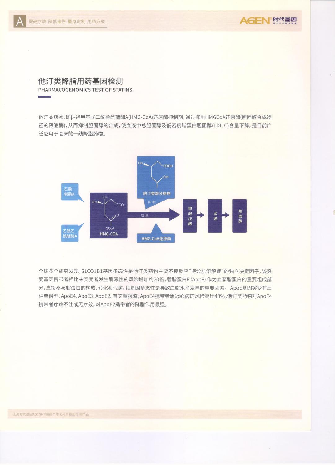 他汀降脂1.jpg