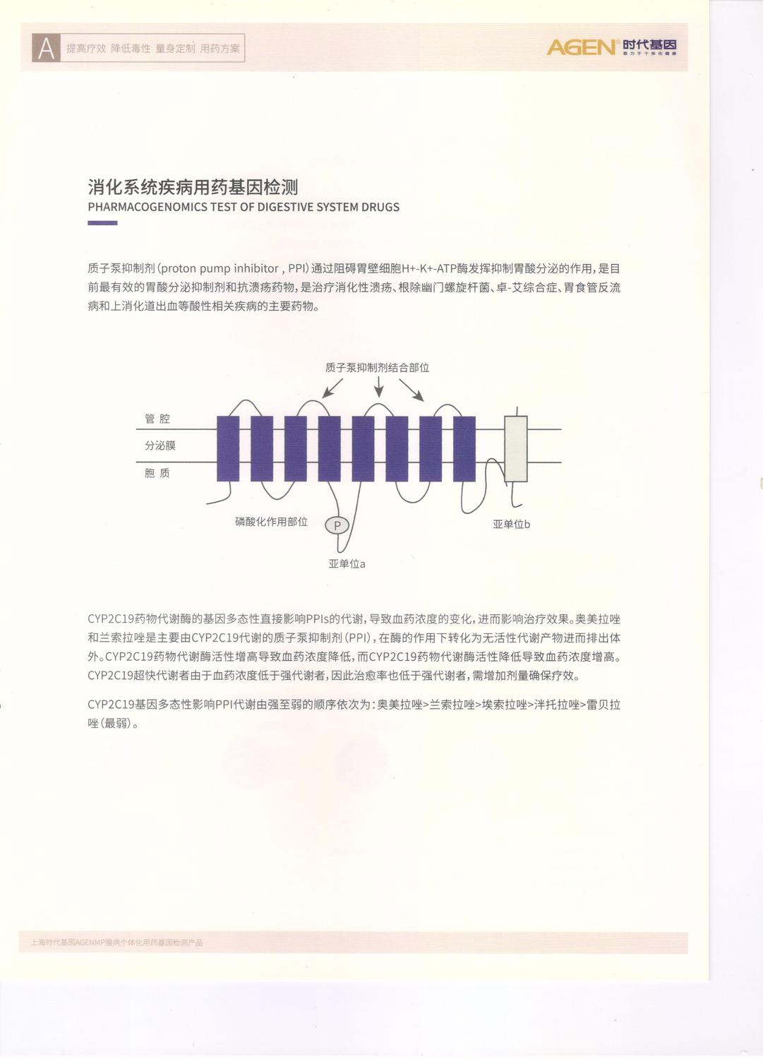 消化系統1.jpg