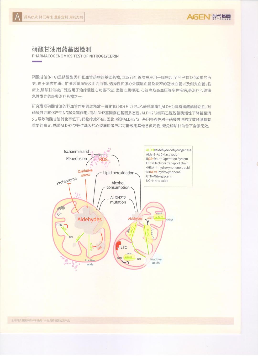 硝酸甘油1.jpg