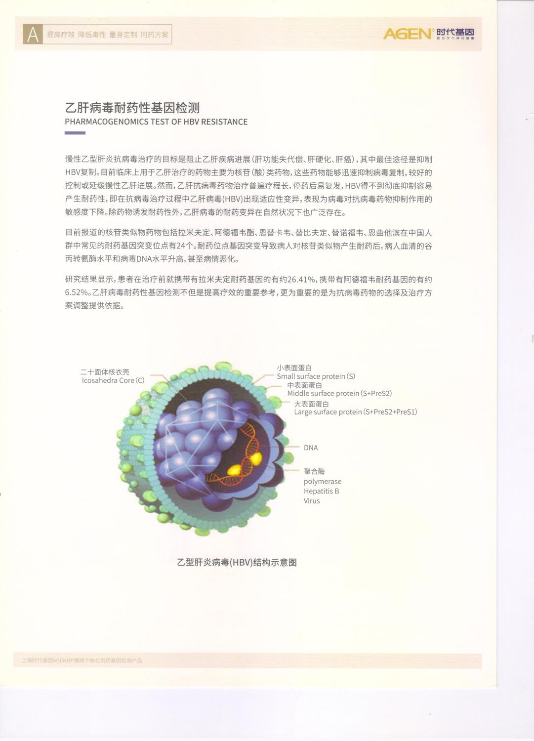 乙肝1.jpg