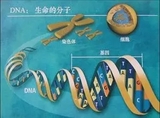 文章附圖
