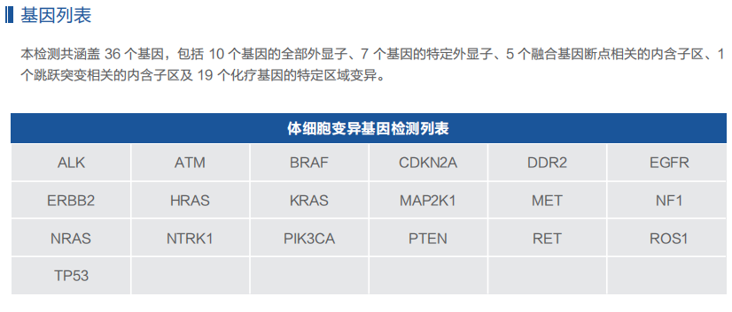 肺癌36-2.png