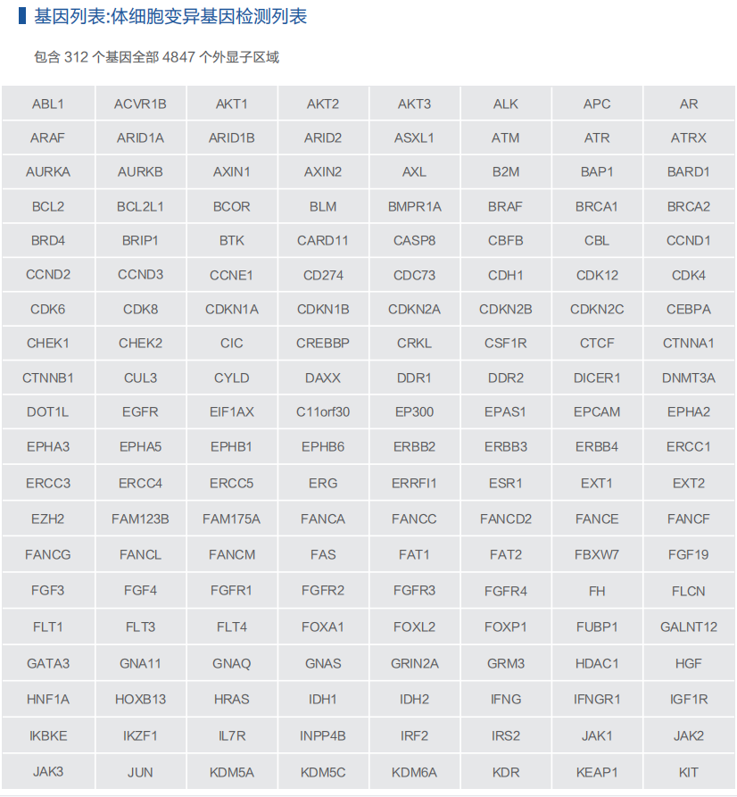 腫瘤精準-4.png