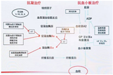 文章附圖